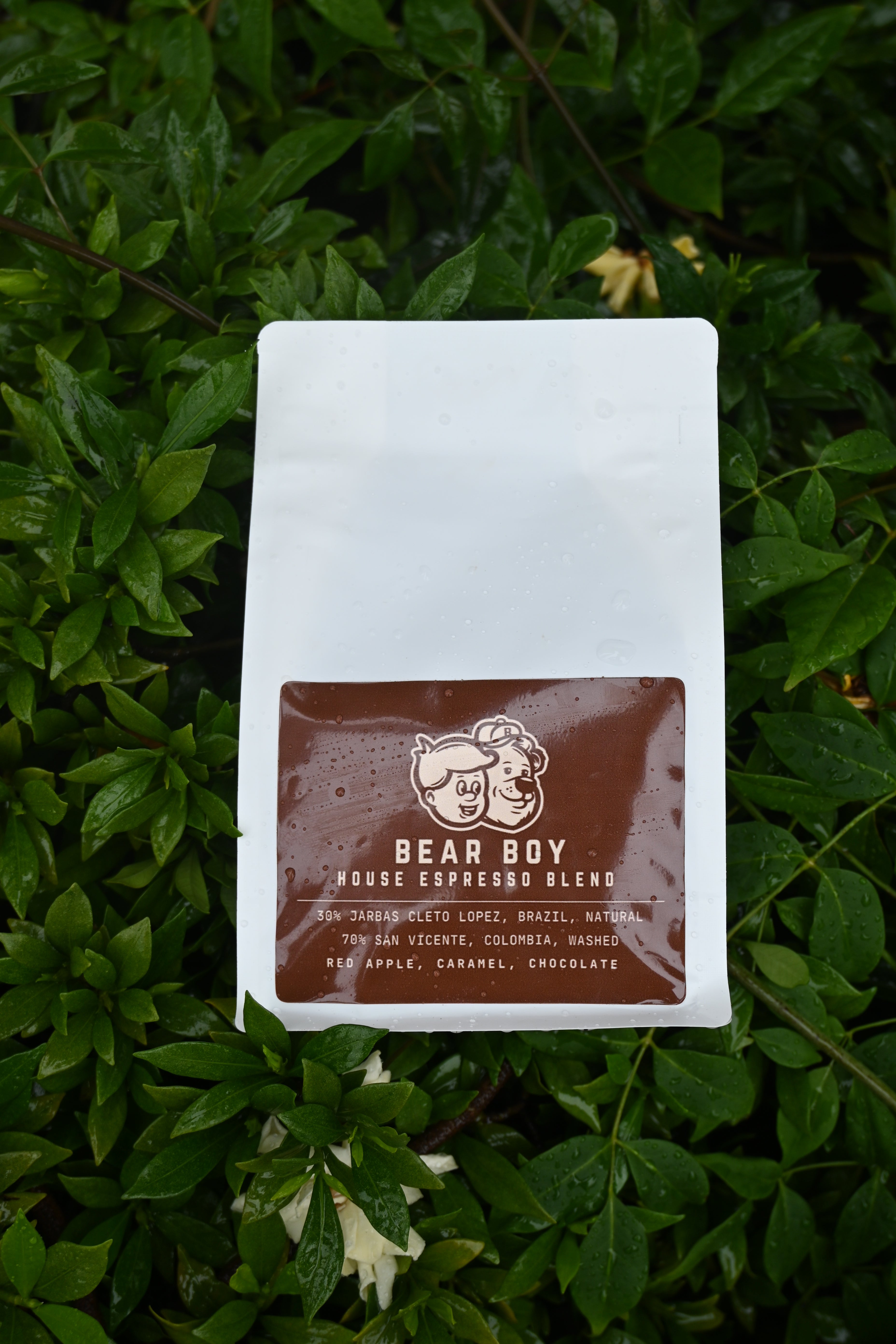 Bear Boy House Espresoo – Bear Boy Espresso